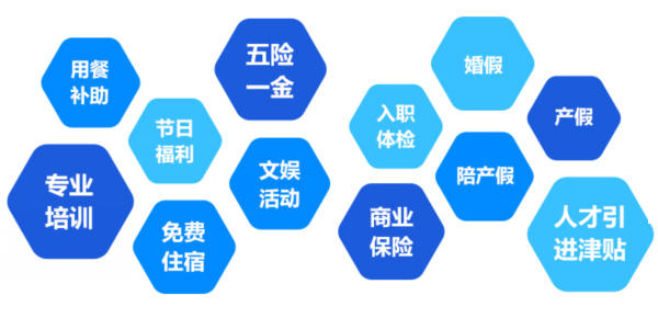 提供全面、系統(tǒng)、專業(yè)的培訓(xùn)和廣闊的<br>職業(yè)發(fā)展空間和提升機(jī)會